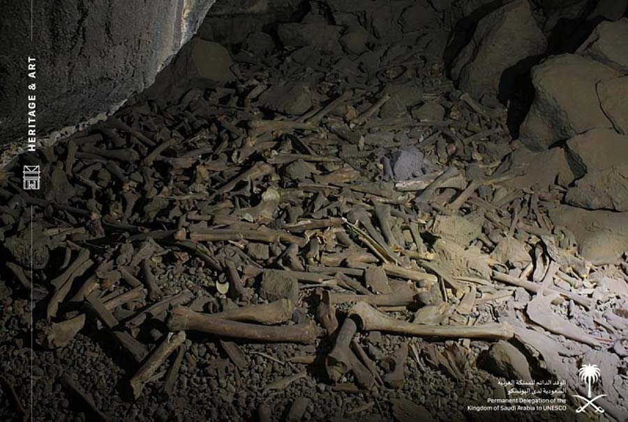 hyena cave
